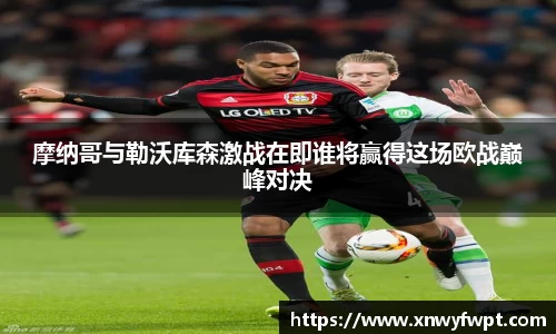 摩根体育官网