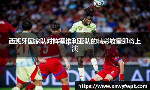 摩根综合体育官网