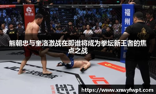 熊朝忠与奎洛激战在即谁将成为拳坛新王者的焦点之战